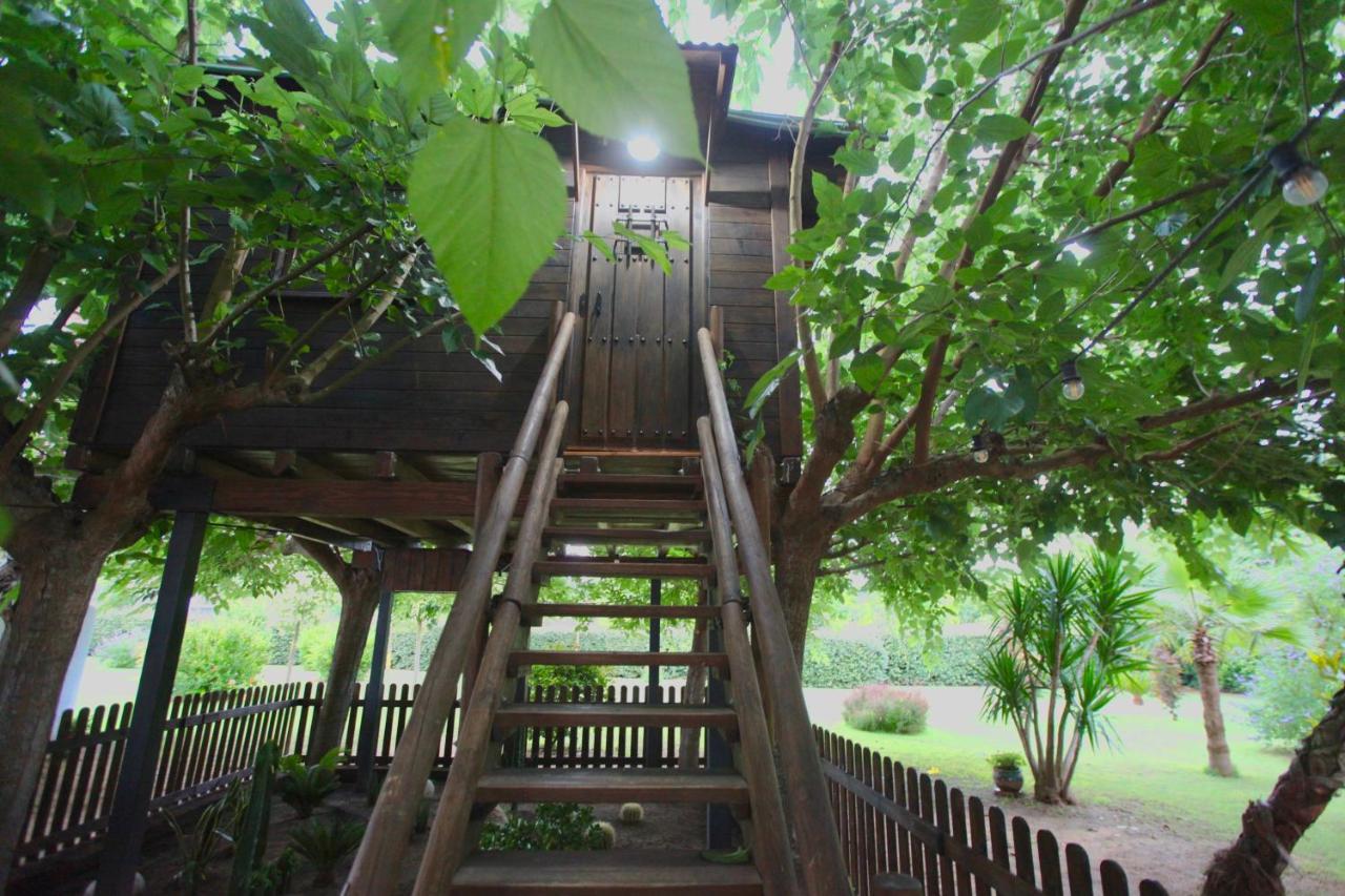 Naturetreehouse Casa Sobre Los árboles Casa rural *