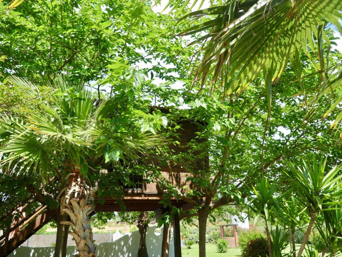 Naturetreehouse Casa Sobre Los árboles Casa rural