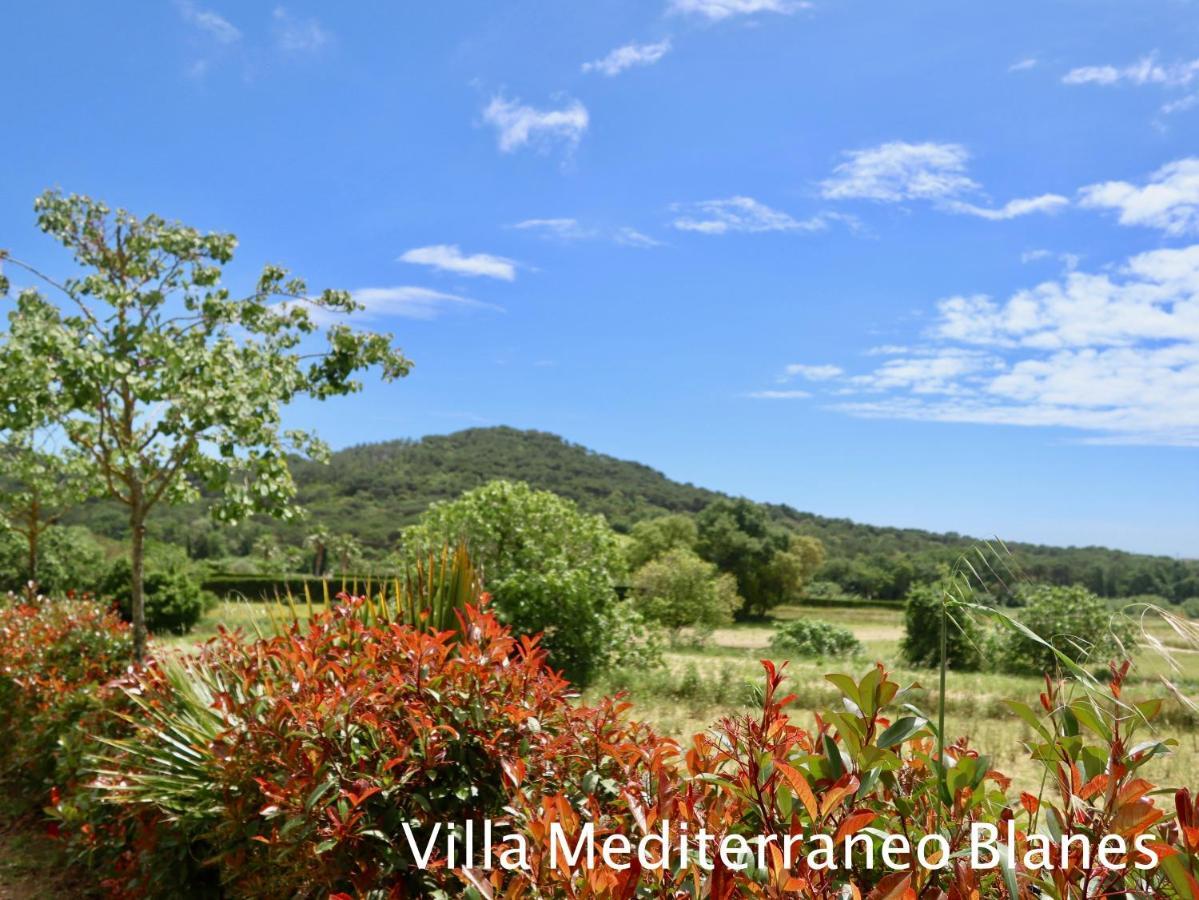 Casa rural Naturetreehouse Casa Sobre Los árboles Blanes
