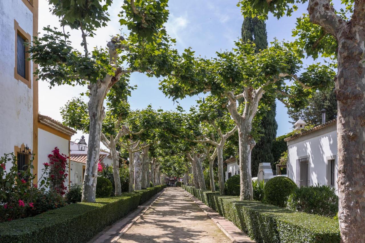 El Cortijo De Mimbrales