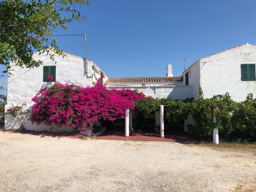 Binisaid Nou Casa rural