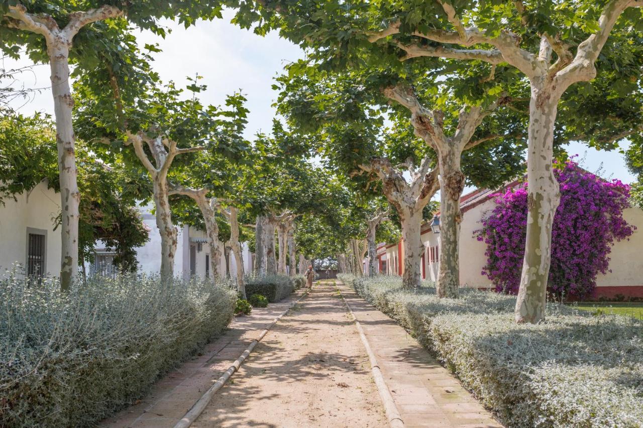 El Cortijo De Mimbrales Villa El Rocío