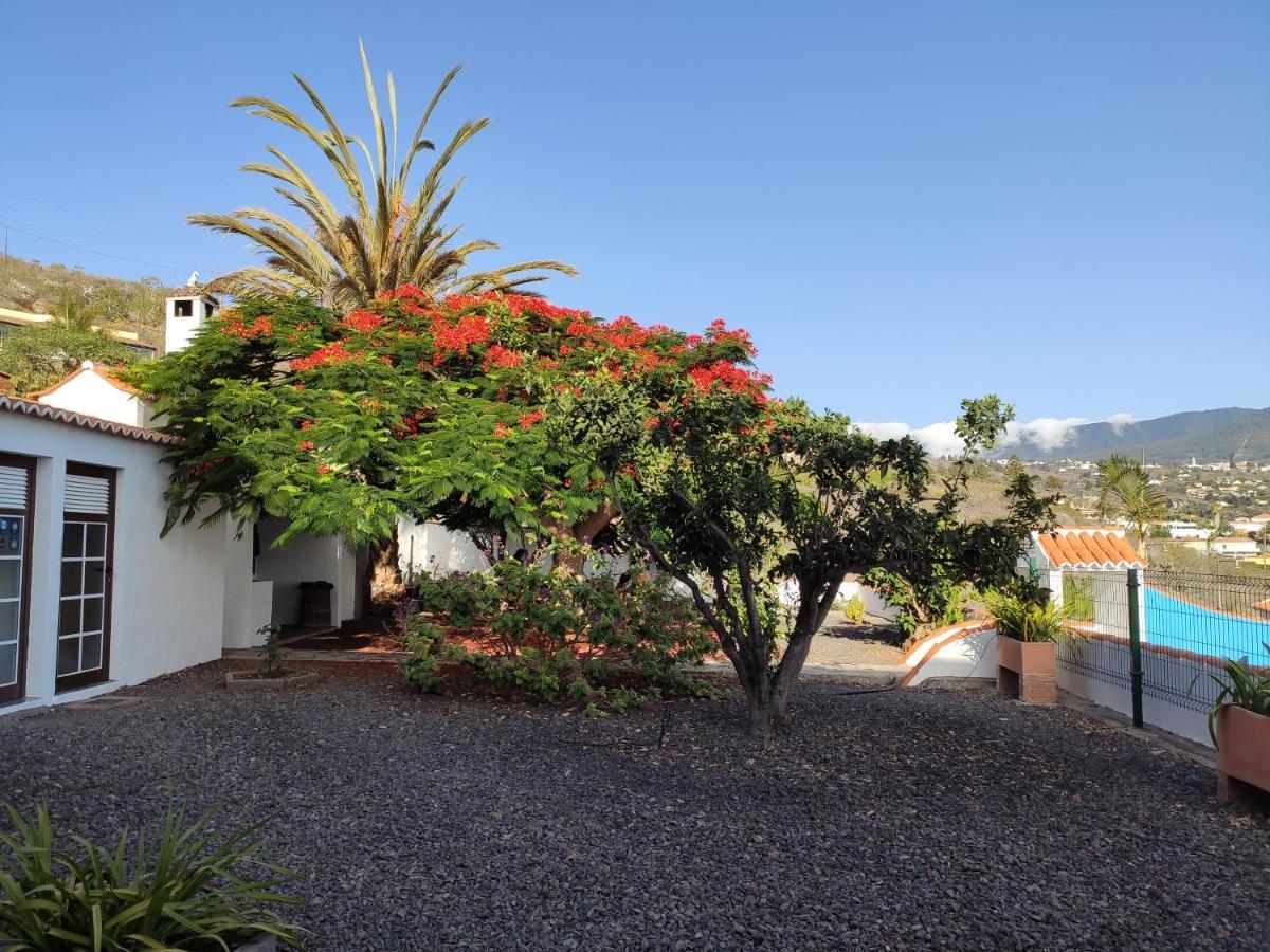 Apartment Casitas Rosheli
