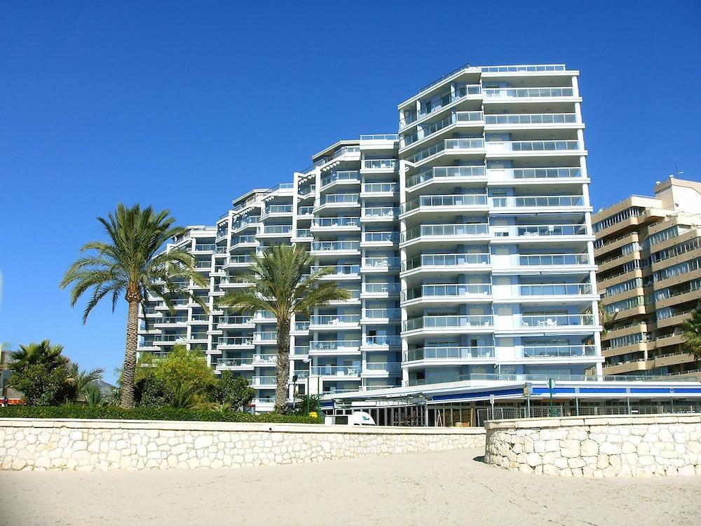 Hipocampos Calpe