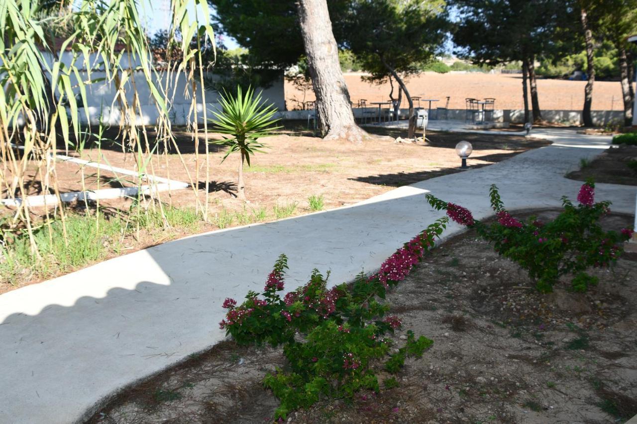 Apartamento Lesley - Es Pi Playa de Migjorn