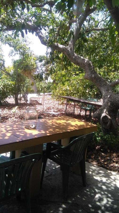 Casa Los Mangos * Tijarafe