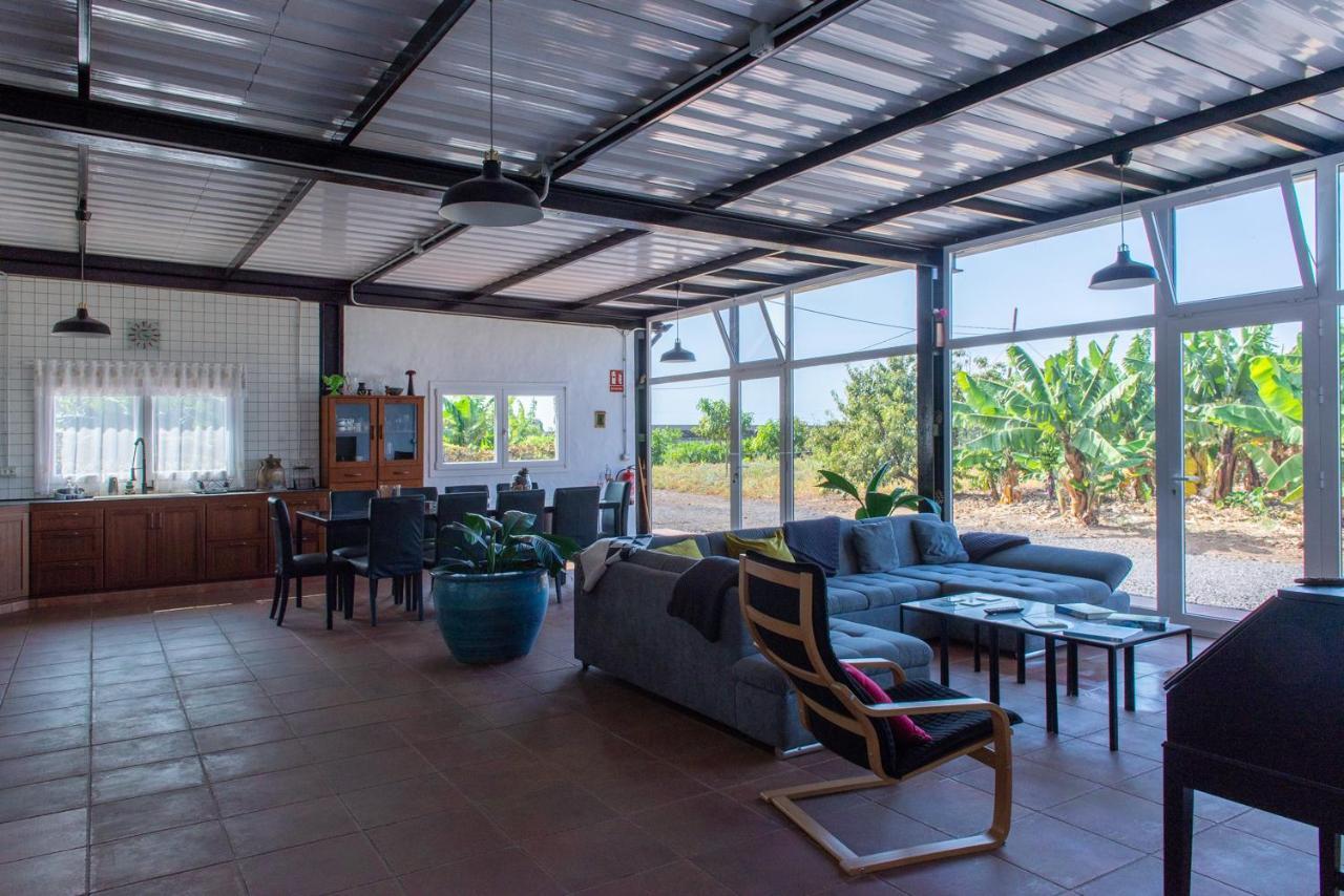 Amazing Coast House On A Tranquil Organic Farm