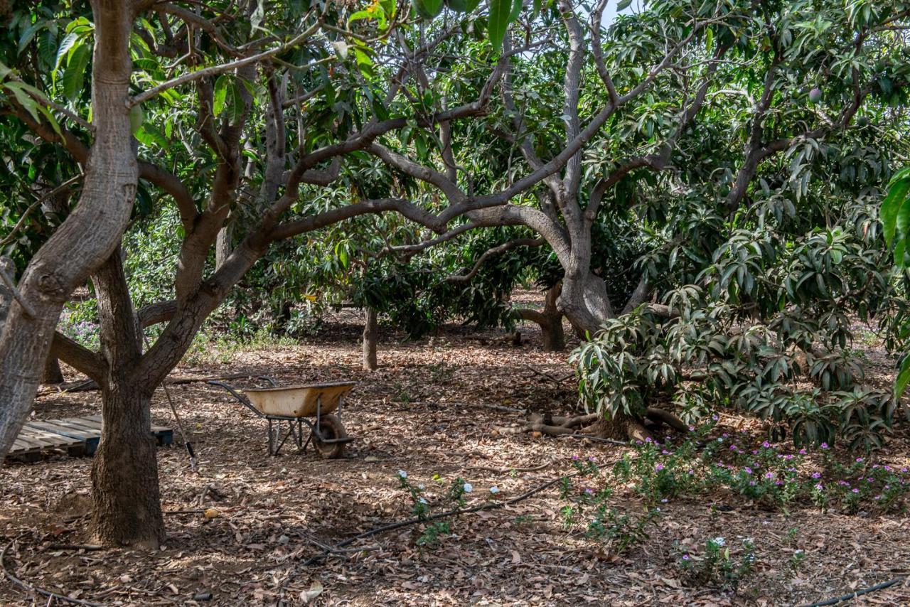 On An Organic Farm By The Coast,