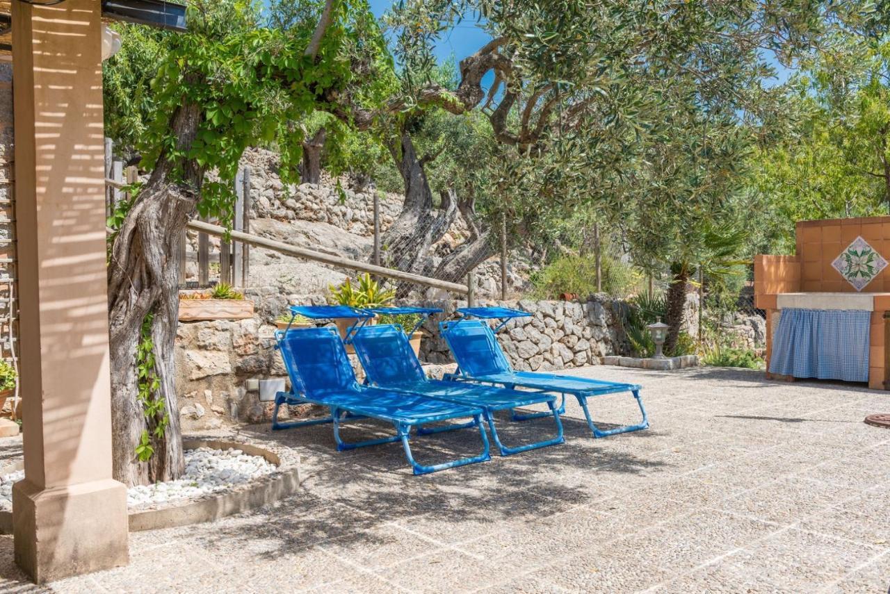 Tamany * Port De Soller