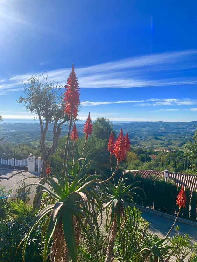Bed & Breakfast Manana Mijas