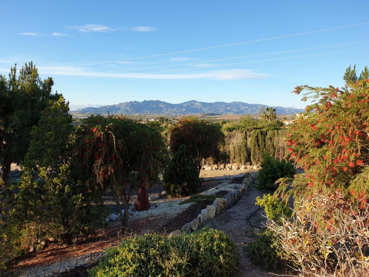 Bed & Breakfast San Mateo *