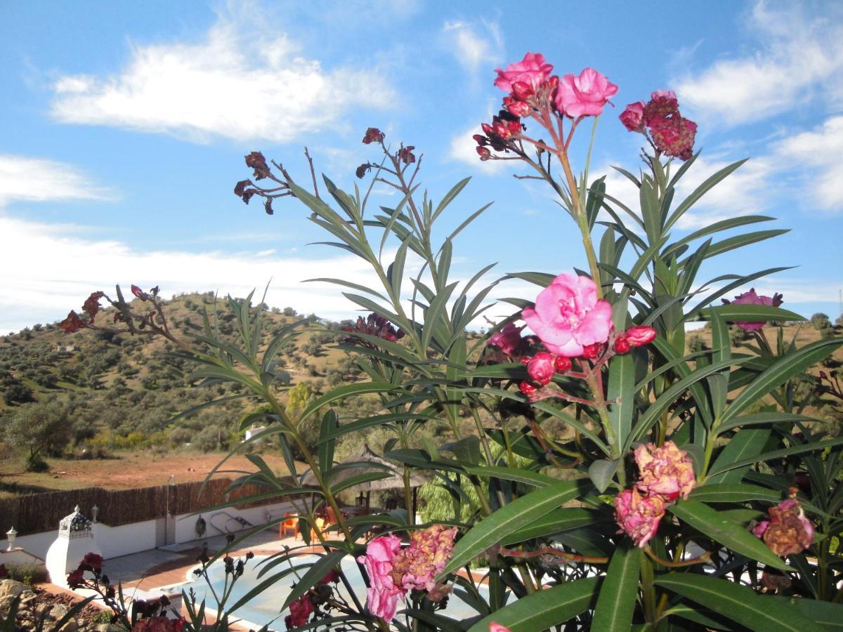 Casa El Corasueno Bed & Breakfast
