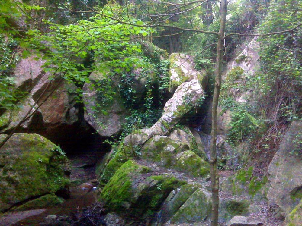 Refugi Al Montseny, Casa Con Encanto Lodge *