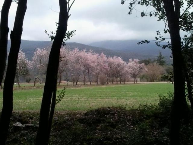 Refugi Al Montseny, Casa Con Encanto Lodge *