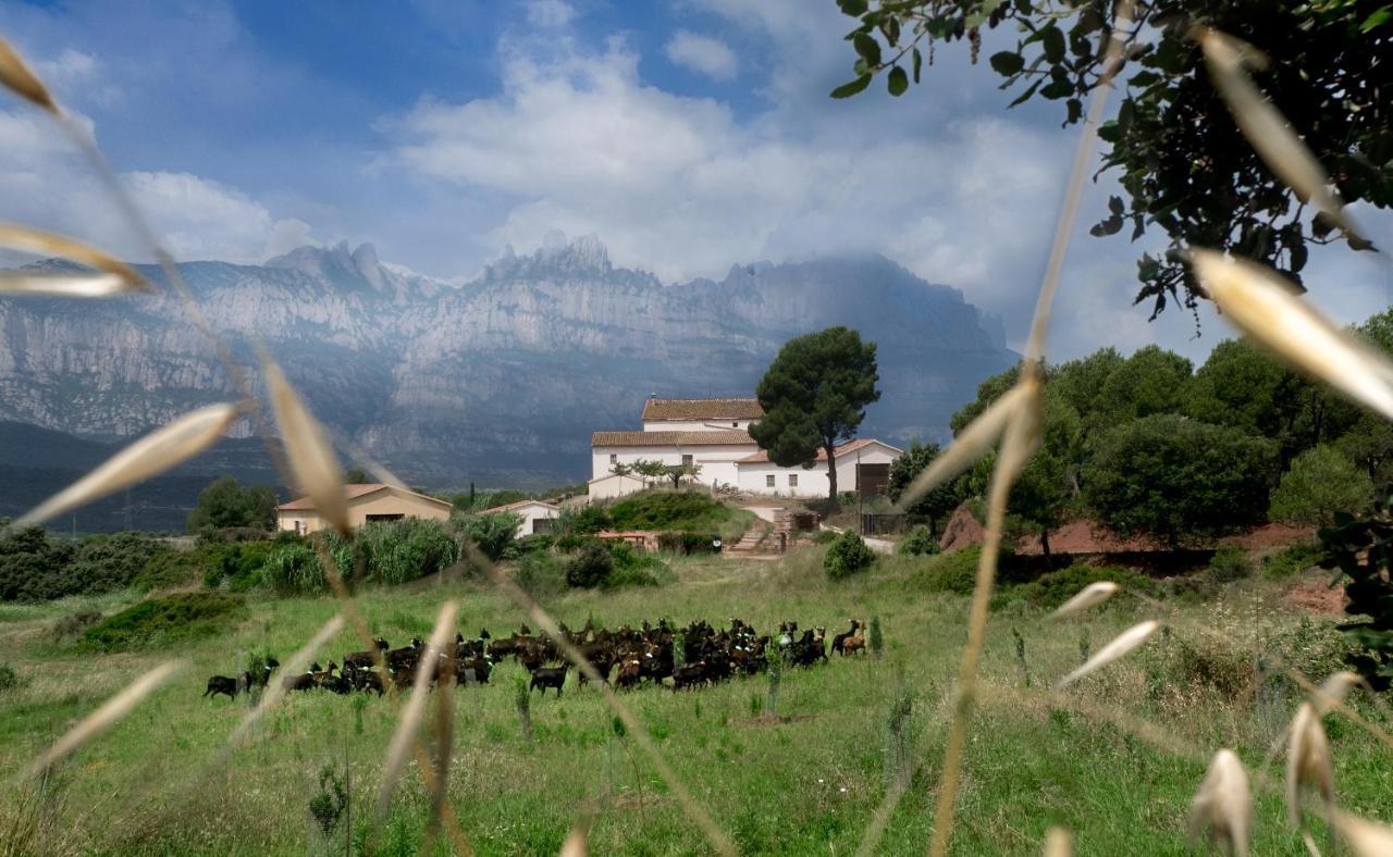 La Frasera Rural