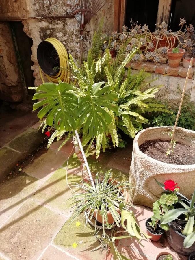 Mas D'en Ferran Country house