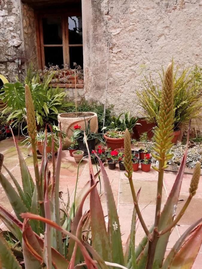 Country house Mas D'en Ferran *