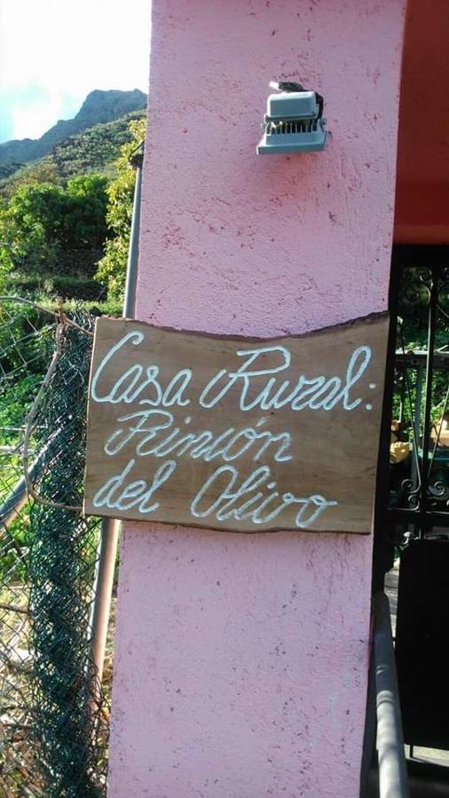 Rincon Del Olivo *
