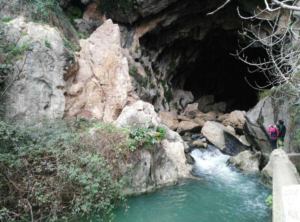 Rosas De Benaojan