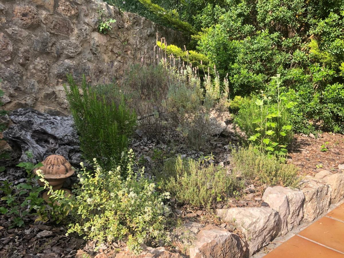 Sestret By Lemón Сasa de vacaciones Valldemossa (Mallorca)