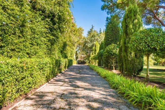 Villa Peace & Tranquility, Sotogrande, Spain (adults Only) Sotogrande