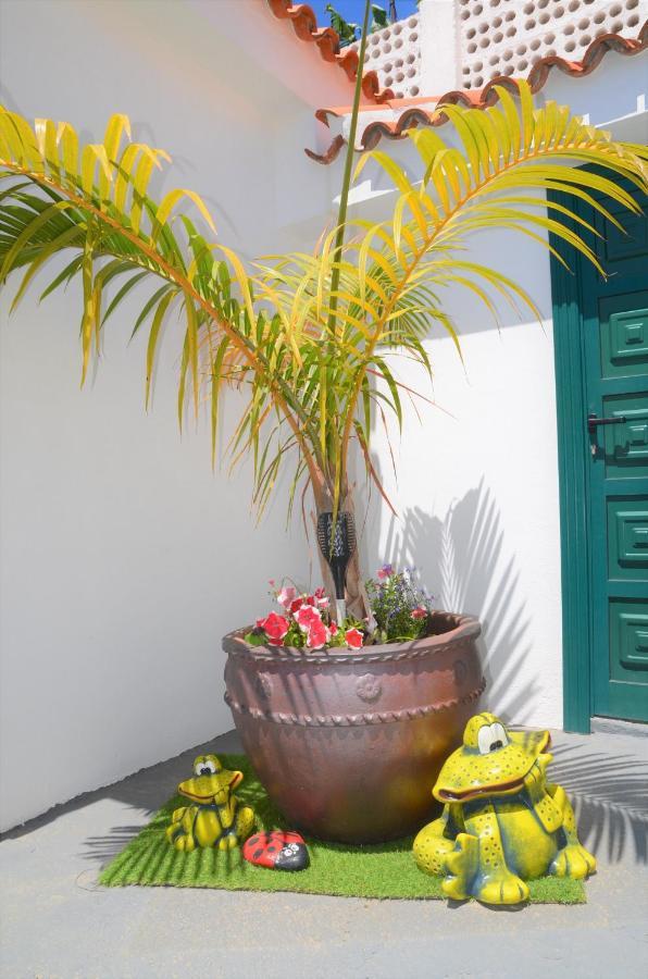 Apartamento Casa Nine Con Piscina Vacacional La Palma