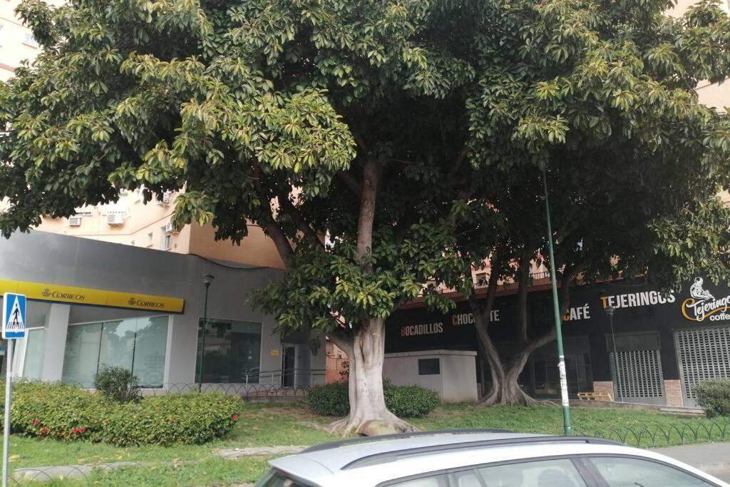Apartamento Confortable Y Luminoso Piso 5 Camas, Parking Gratis Málaga