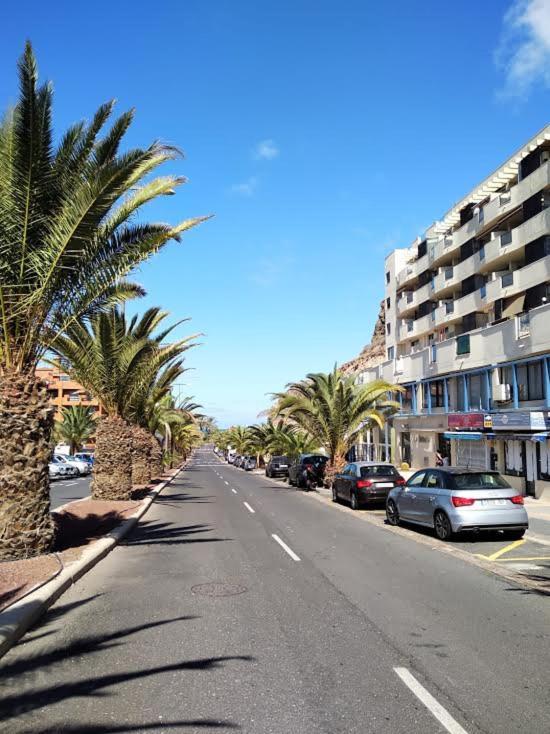 Ocean View Elegant Magic Palm-mar