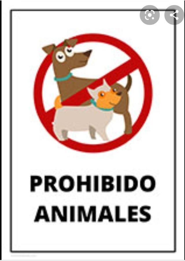 Pensión Hidalgo 1 2*