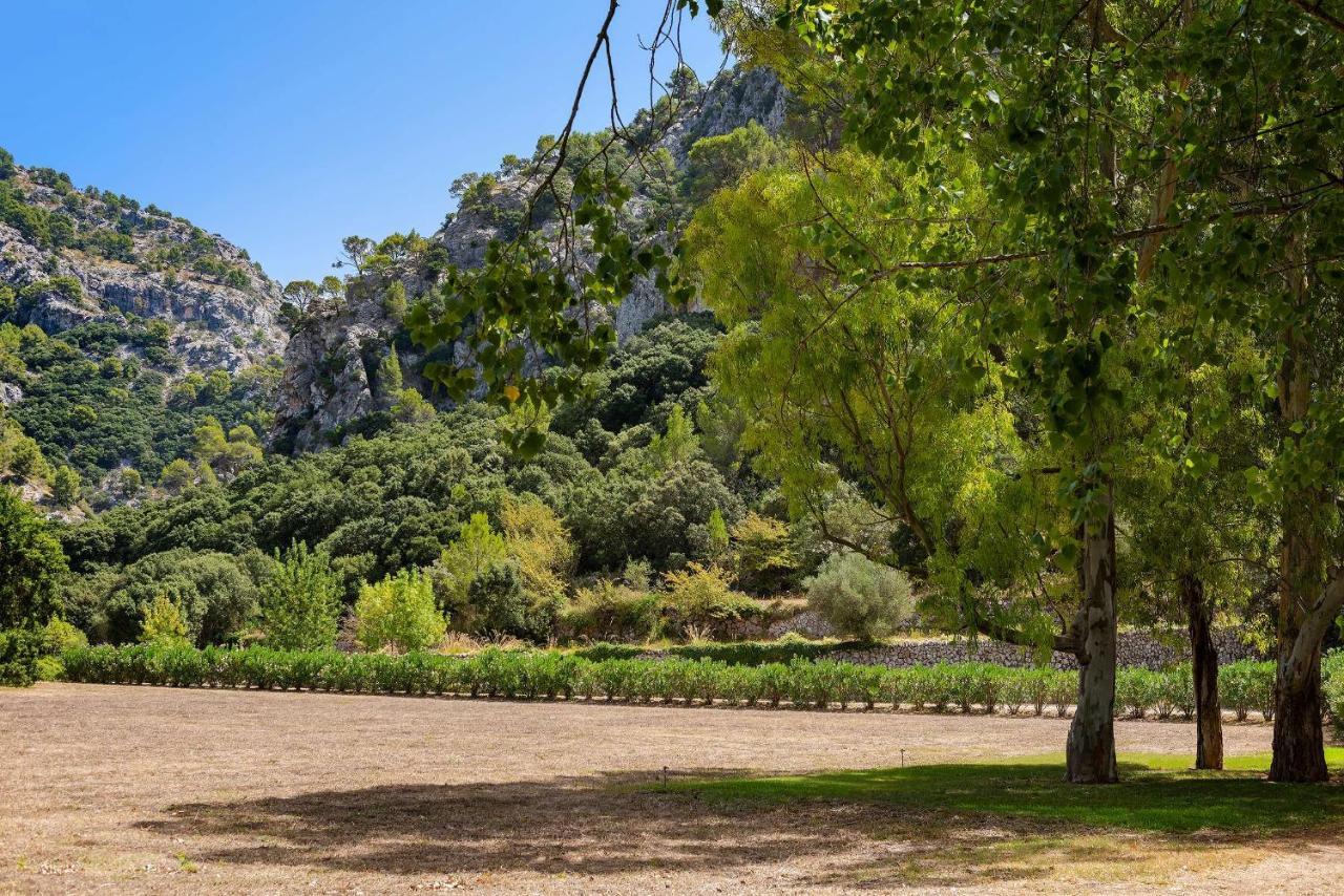 Matge Valldemossa (Mallorca)