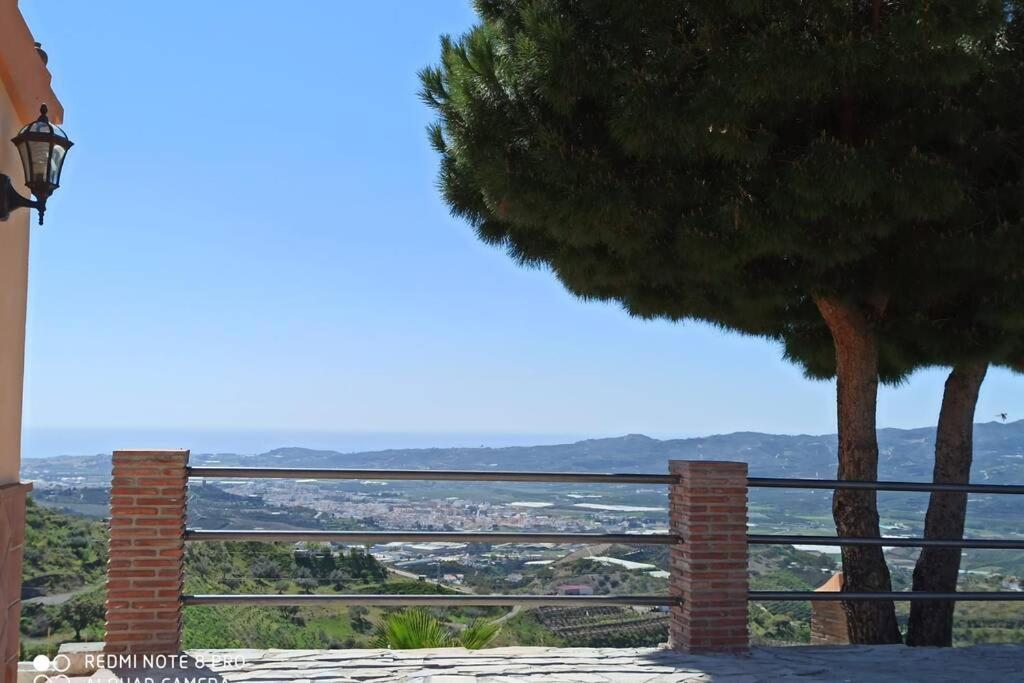 El Mirador *
