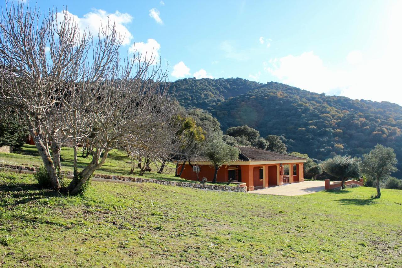 Apartamento Cedro Alto