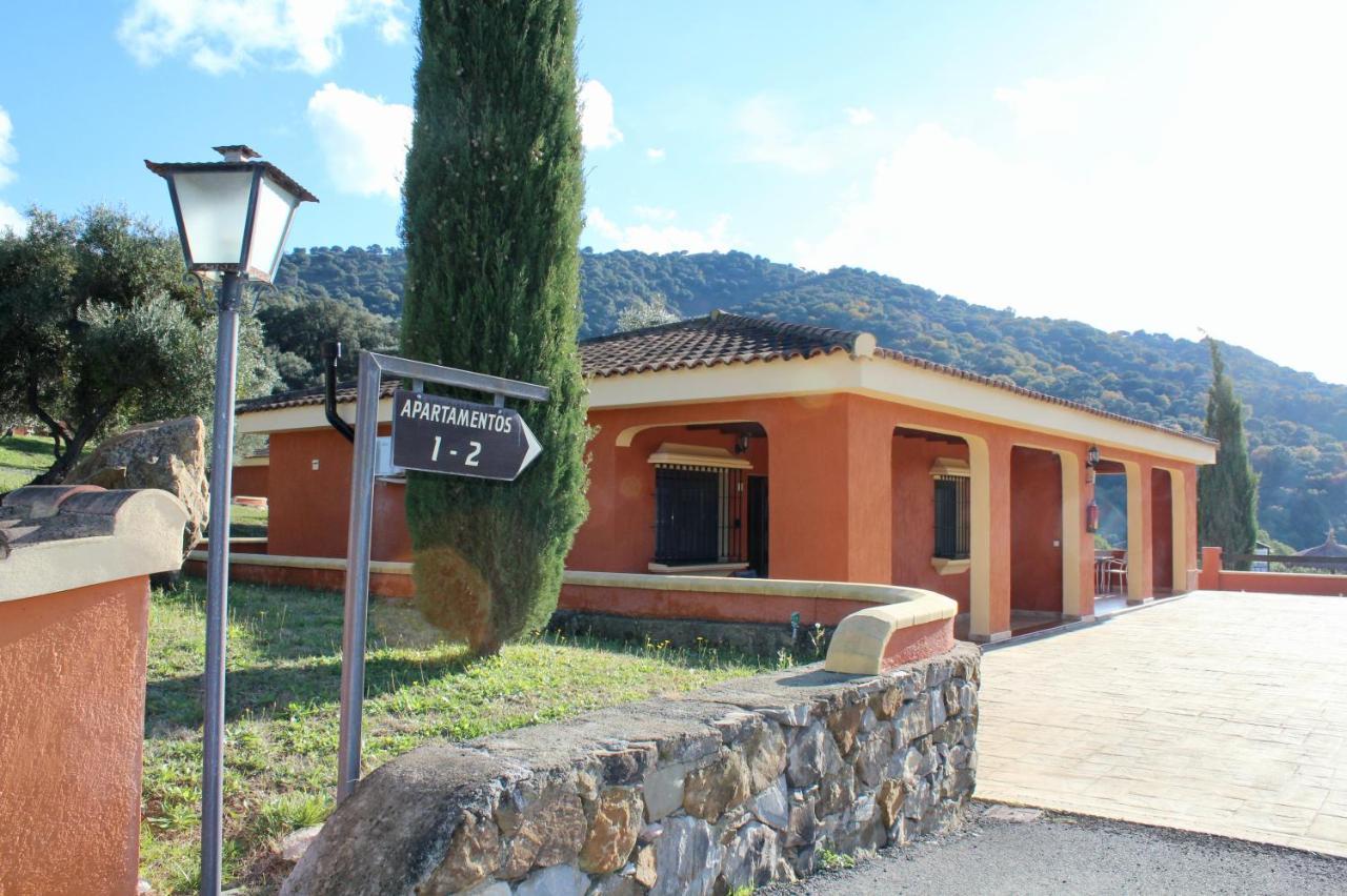 Cedro Alto * Benaoján