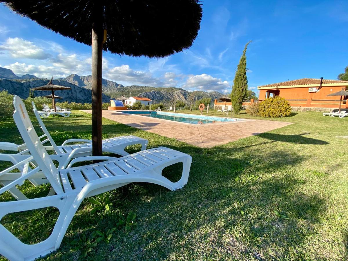 Cedro Alto Apartamento
