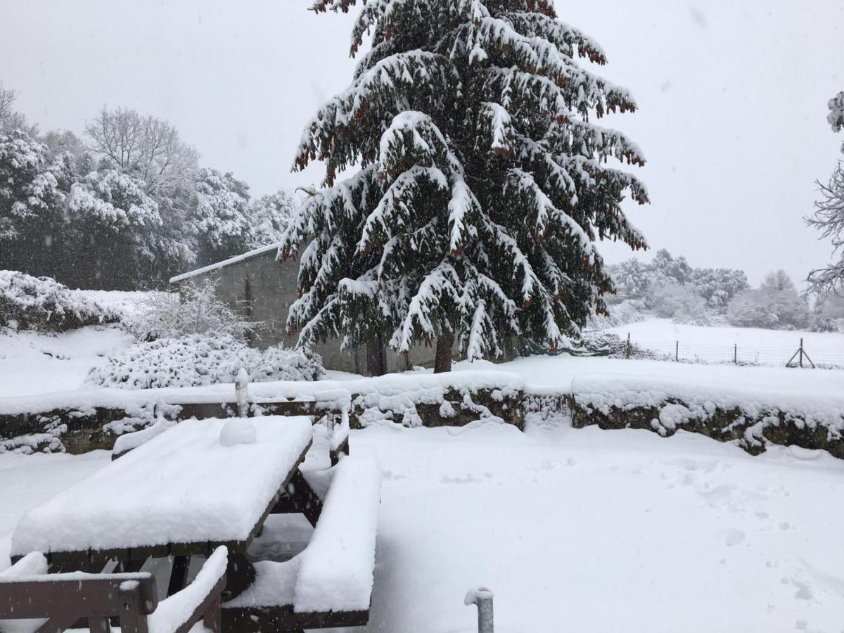 Can Janot Olot
