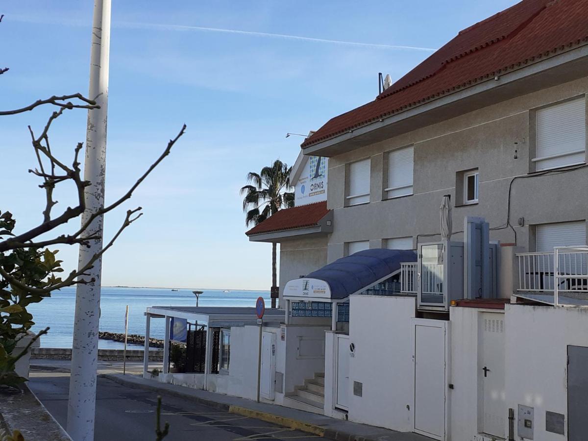 Ornis Platja Sant Carlos de la Ràpita