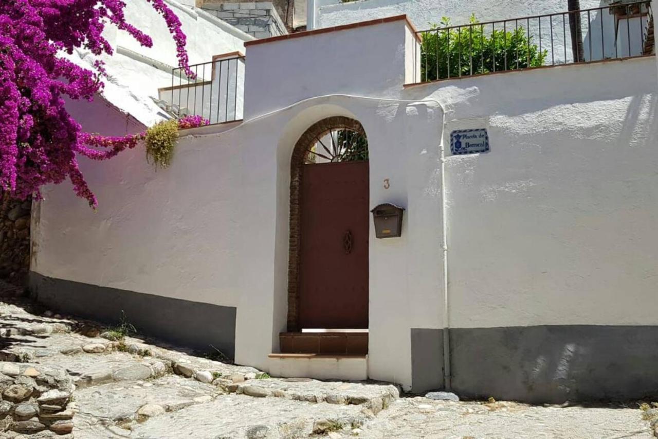 Casa Alhambra - Centro Histórico Con Jardín Privado
