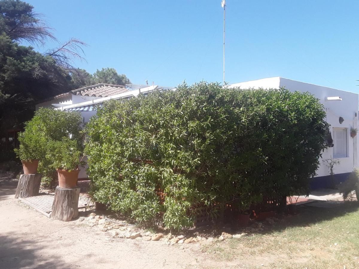 Holiday home Dunas: Beachfront With Jacuzzis