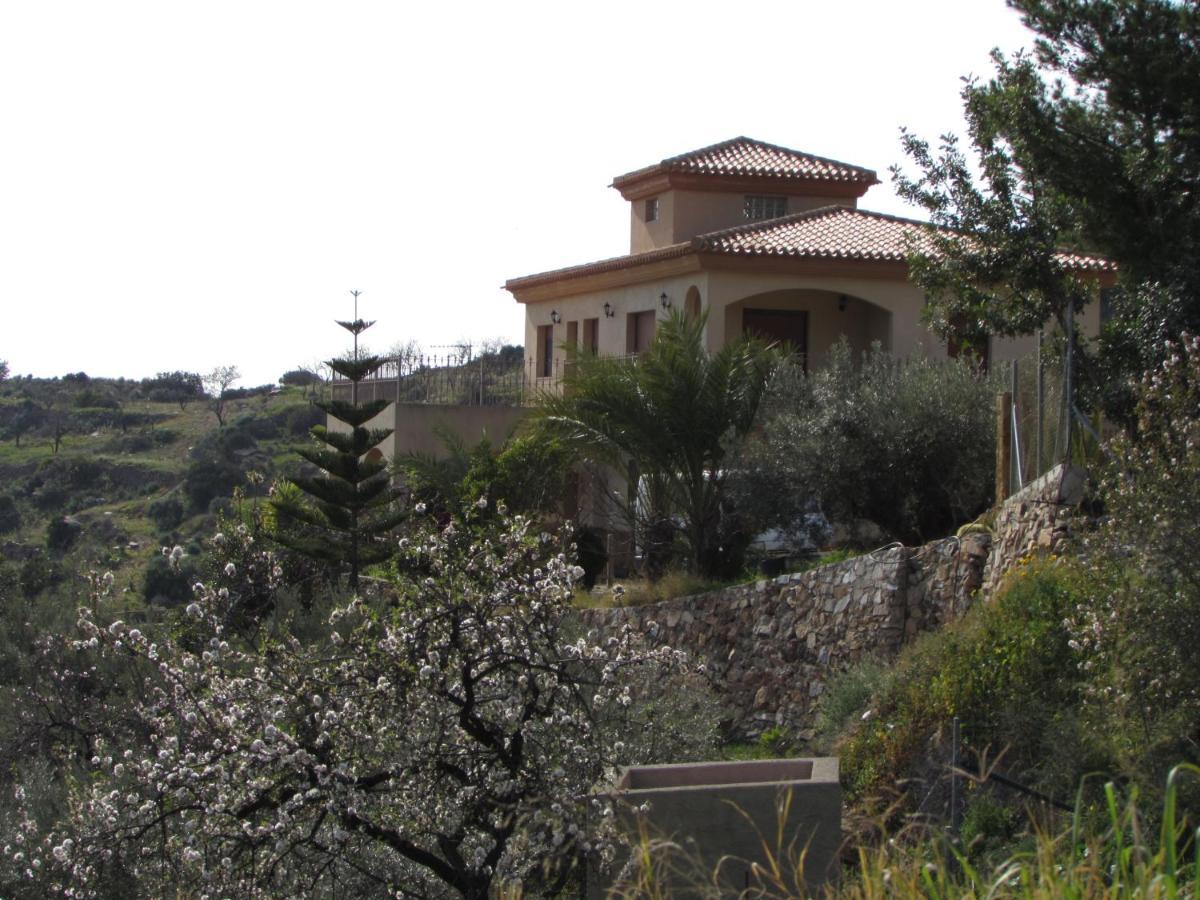Albarico Retreat Bedar