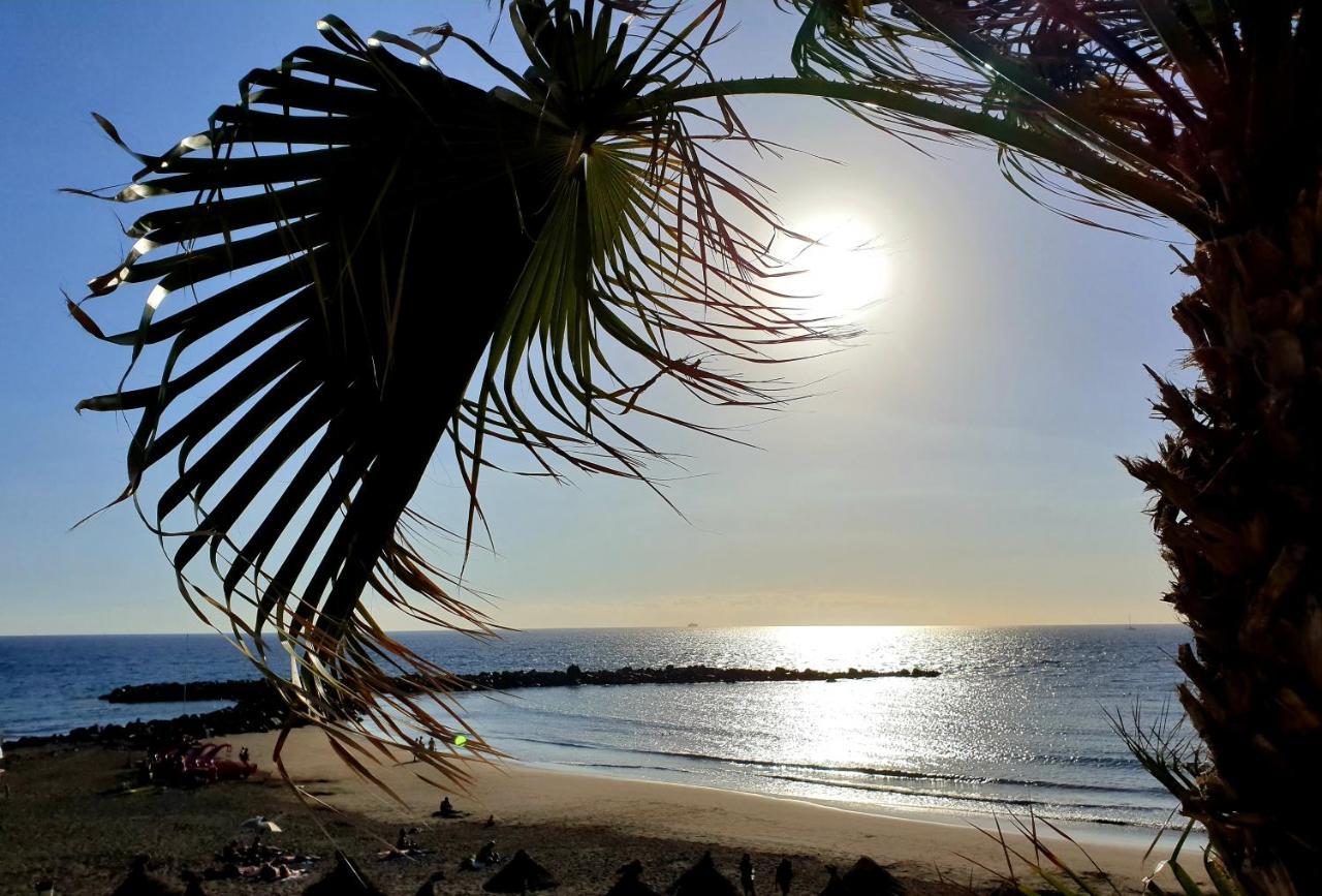 Parque Royal Torviscas Playa Costa Adeje (Tenerife)