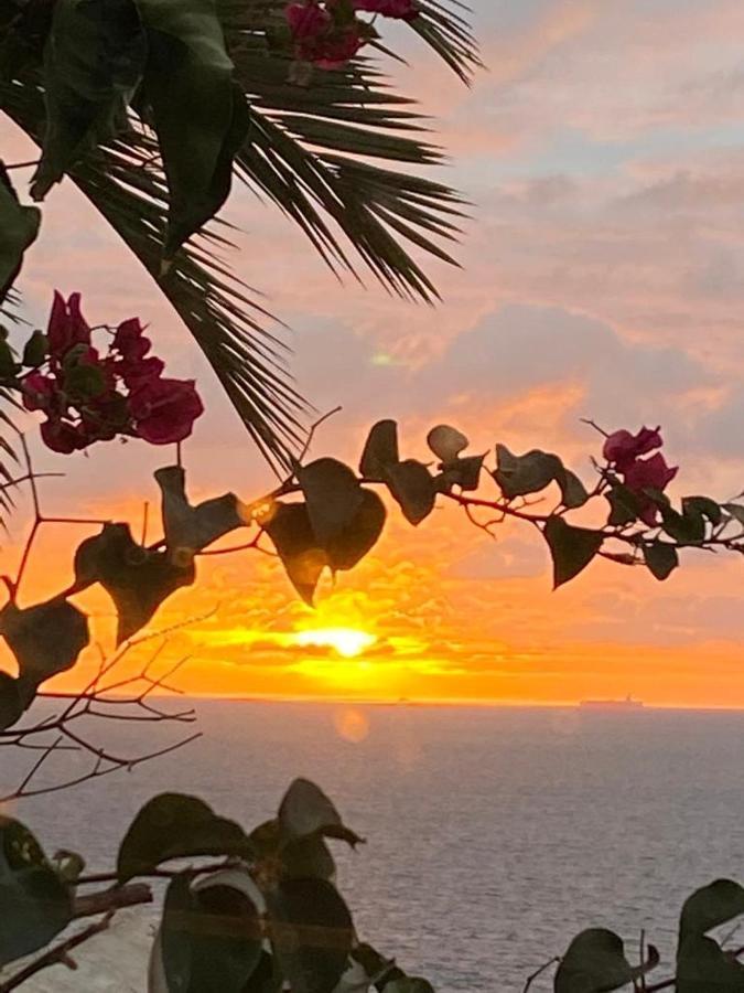Seaviews&flowers *