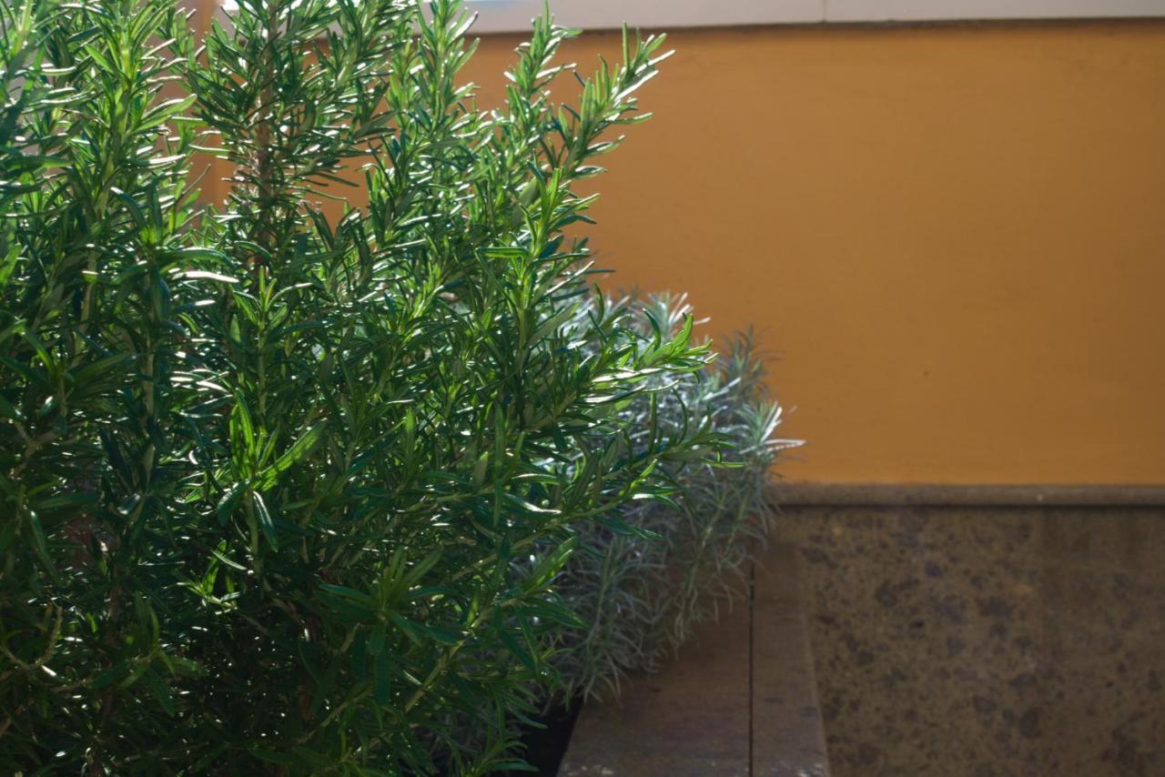 Apartamento Lujoso Y Moderno Con Fantástica Terraza *