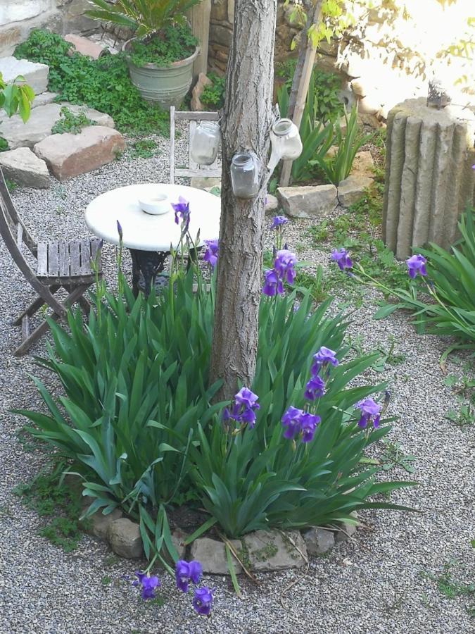 La Casa Dels Ocells (adults Only) Bed & Breakfast Granollers de Florejacs