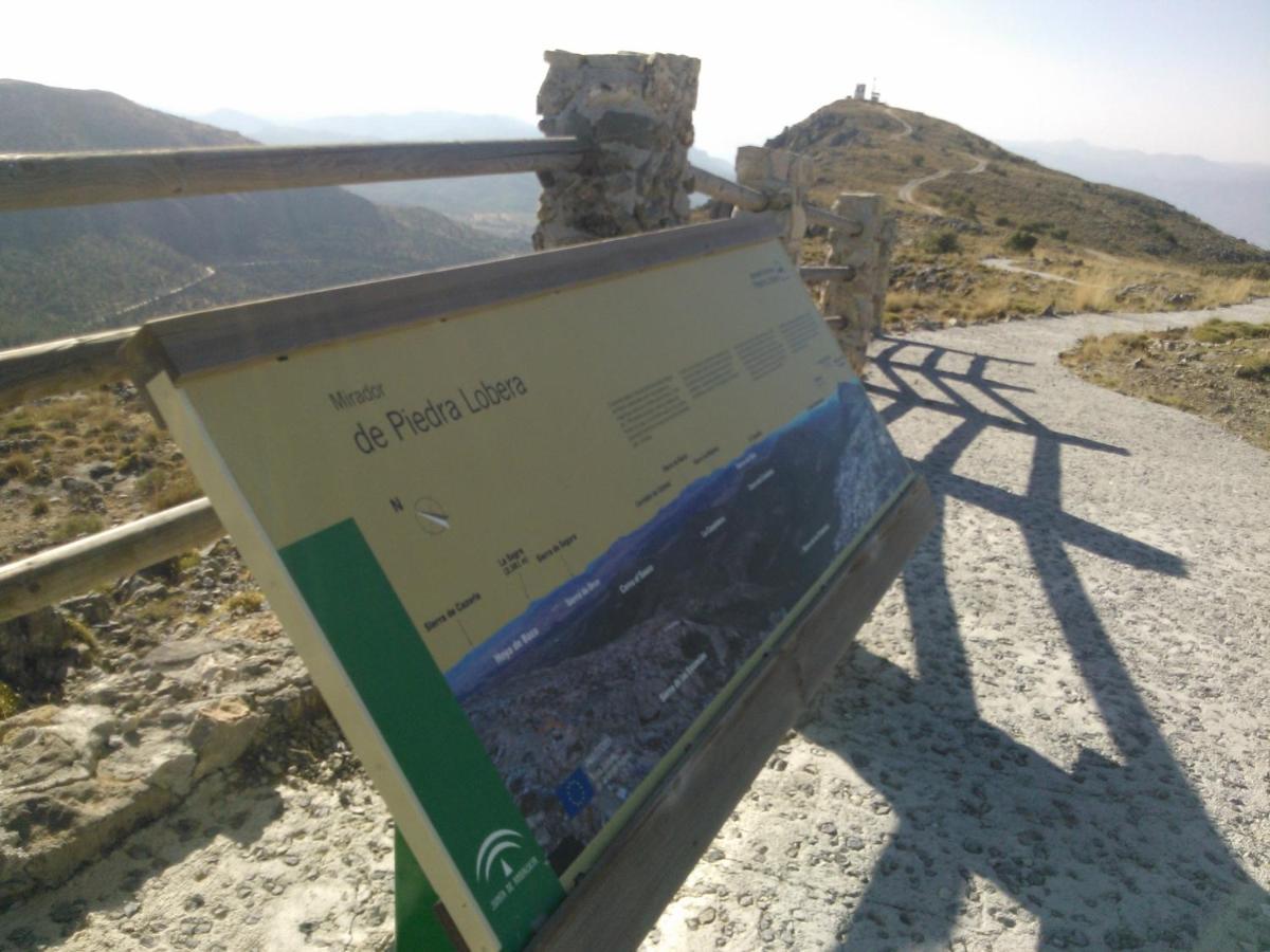 Cortijo Soledad *