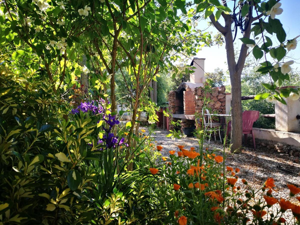 Сasa de vacaciones Cortijo Soledad El Sauco