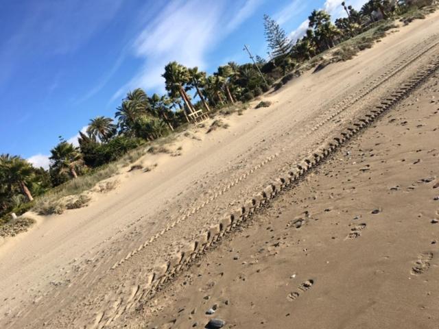 Apartamento Beachfront La Jacaranda Marbella