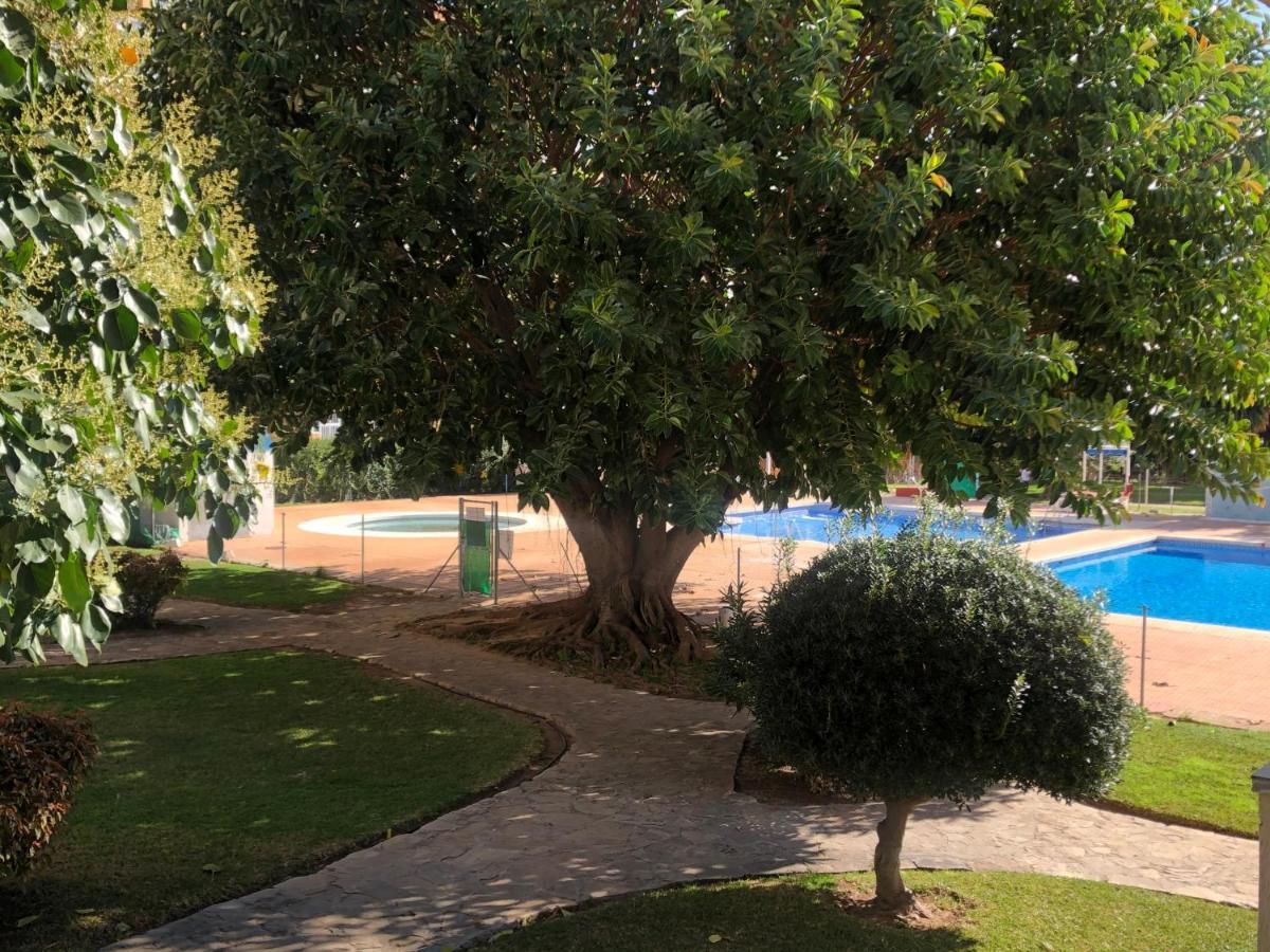 Estudio Vacacional Playa Apartamento
