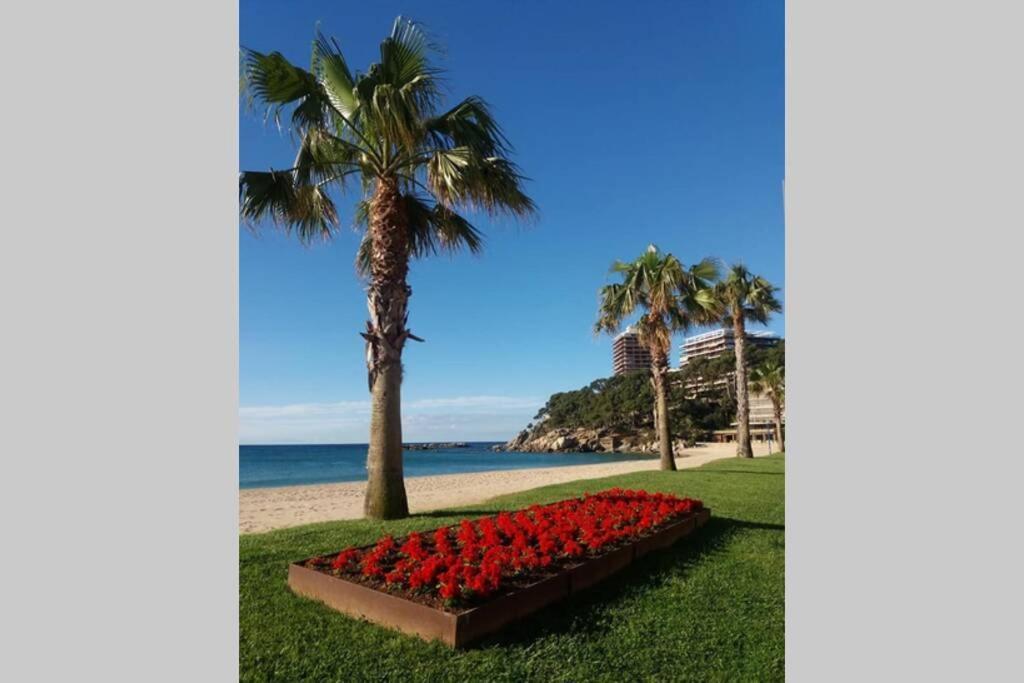 Costa Brava-st Antoni De Calonge Per Parelles I Famílies Petites Calonge (Catalonia)