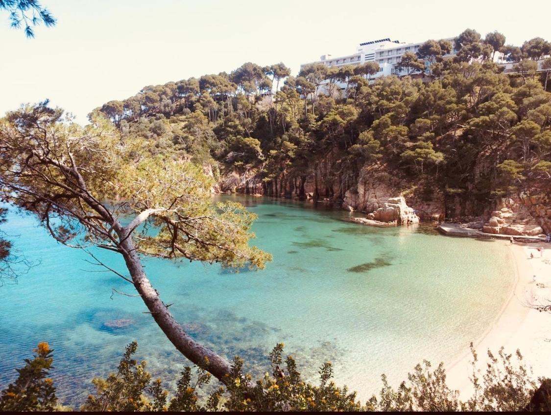 Estrellas Vista Mar * Begur