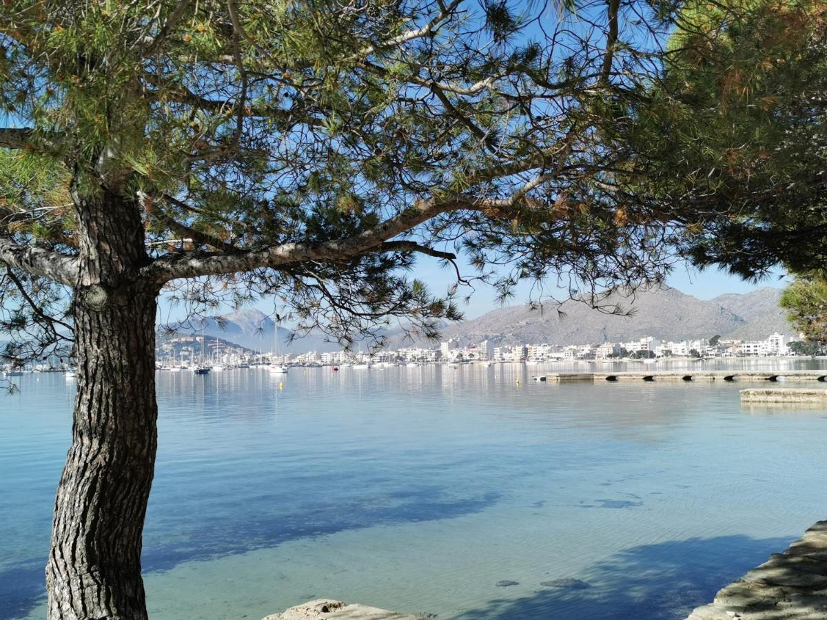 Bahía * Puerto Pollensa